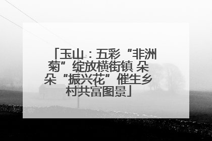 玉山：五彩“非洲菊”绽放横街镇 朵朵“振兴花”催生乡村共富图景