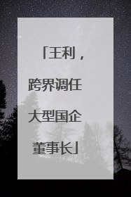王利，跨界调任大型国企董事长