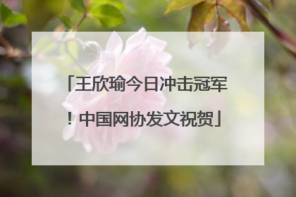王欣瑜今日冲击冠军！中国网协发文祝贺