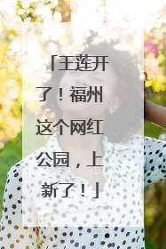 王莲开了！福州这个网红公园，上新了！