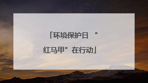环境保护日 “红马甲”在行动