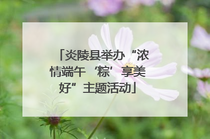 炎陵县举办“浓情端午‘粽’享美好”主题活动