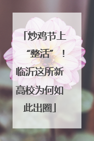 炒鸡节上“整活”！临沂这所新高校为何如此出圈