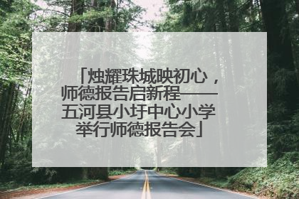 烛耀珠城映初心，师德报告启新程——五河县小圩中心小学举行师德报告会