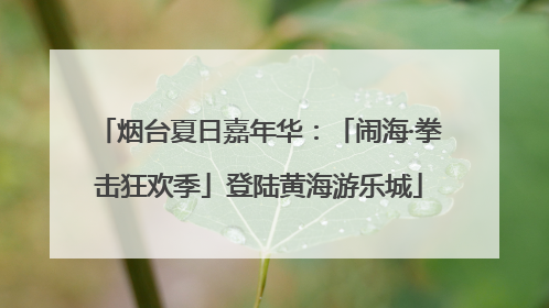烟台夏日嘉年华：「闹海·拳击狂欢季」登陆黄海游乐城