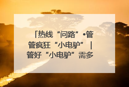 热线“问路”•管管疯狂“小电驴”｜管好“小电驴”需多部门形成合力