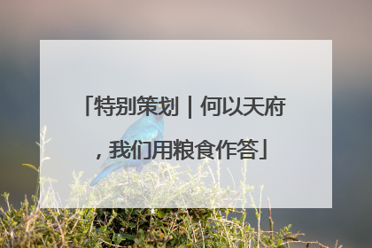 特别策划｜何以天府，我们用粮食作答