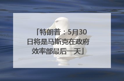 特朗普：5月30日将是马斯克在政府效率部最后一天