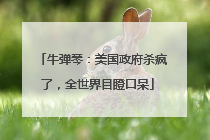 牛弹琴：美国政府杀疯了，全世界目瞪口呆