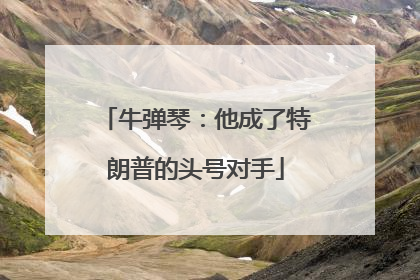 牛弹琴：他成了特朗普的头号对手