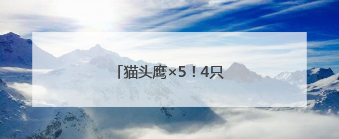 猫头鹰×5！4只在闲置房“安家”