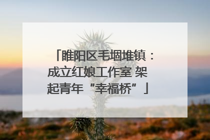 睢阳区毛堌堆镇：成立红娘工作室 架起青年“幸福桥”