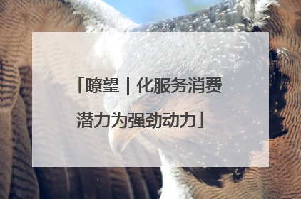 瞭望｜化服务消费潜力为强劲动力