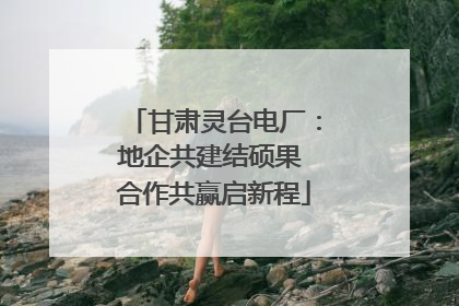 甘肃灵台电厂：地企共建结硕果 合作共赢启新程