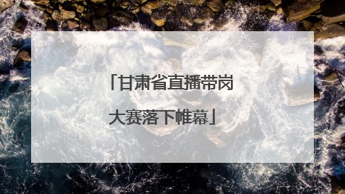 甘肃省直播带岗大赛落下帷幕