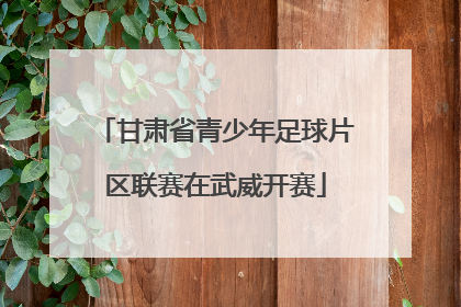甘肃省青少年足球片区联赛在武威开赛