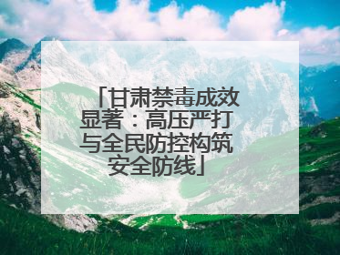 甘肃禁毒成效显著：高压严打与全民防控构筑安全防线