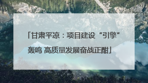 甘肃平凉：项目建设“引擎”轰鸣 高质量发展奋战正酣