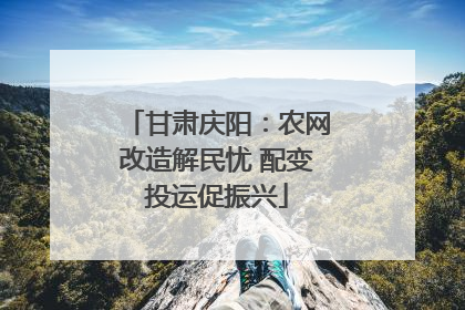 甘肃庆阳：农网改造解民忧 配变投运促振兴