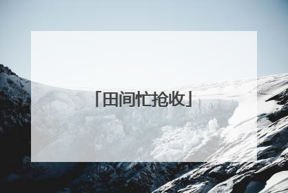 田间忙抢收