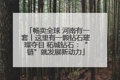 畅卖全球 河南有一套丨这里有一颗钻石璀璨夺目 柘城钻石：“链”就发展新动力