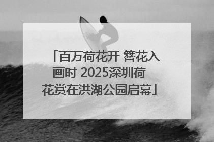 百万荷花开 簪花入画时 2025深圳荷花赏在洪湖公园启幕
