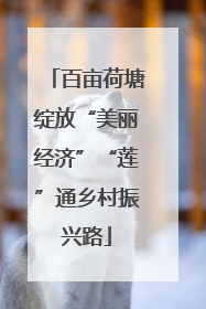 百亩荷塘绽放“美丽经济”“莲”通乡村振兴路