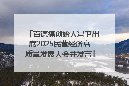 百德福创始人冯卫出席2025民营经济高质量发展大会并发言