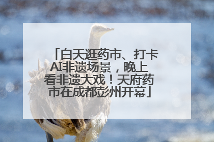 白天逛药市、打卡AI非遗场景，晚上看非遗大戏！天府药市在成都彭州开幕