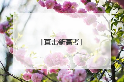 直击新高考
