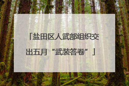 盐田区人武部组织交出五月“武装答卷”
