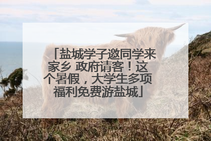 盐城学子邀同学来家乡 政府请客！这个暑假，大学生多项福利免费游盐城