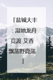 盐城大丰：湿地龙舟竞渡 艾香飘荡野鹿荡