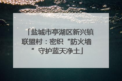 盐城市亭湖区新兴镇联盟村：密织“防火墙”守护蓝天净土