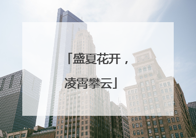 盛夏花开，凌霄攀云