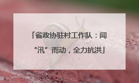 省政协驻村工作队：闻“汛”而动，全力抗洪