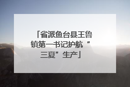 省派鱼台县王鲁镇第一书记护航“三夏”生产