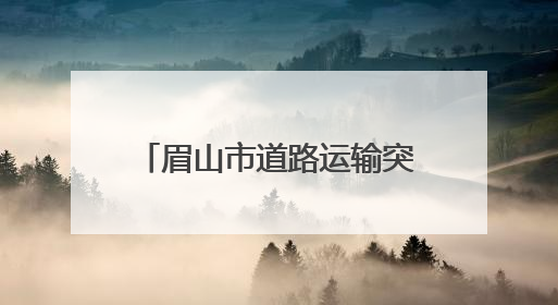 眉山市道路运输突出问题排查整治工作专题会议召开