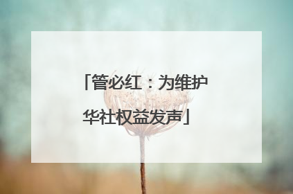 管必红：为维护华社权益发声