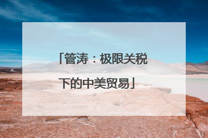 管涛：极限关税下的中美贸易