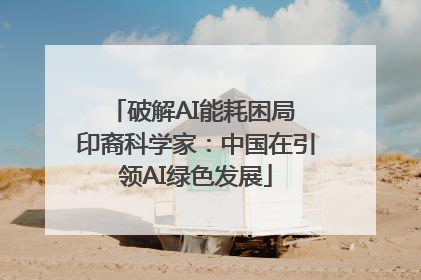 破解AI能耗困局 印裔科学家：中国在引领AI绿色发展