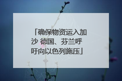 确保物资运入加沙 德国、芬兰呼吁向以色列施压