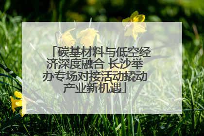 碳基材料与低空经济深度融合 长沙举办专场对接活动撬动产业新机遇