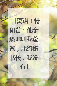 离谱！特朗普：他亲热地叫我爸爸，北约秘书长：我没有