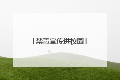 禁毒宣传进校园