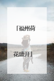 福州荷花盛开