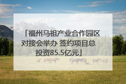 福州马祖产业合作园区对接会举办 签约项目总投资85.5亿元