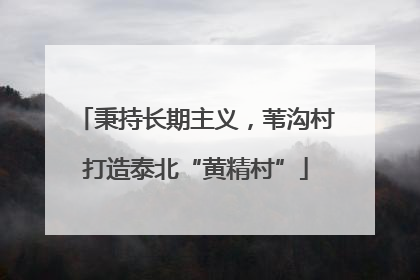 秉持长期主义，苇沟村打造泰北“黄精村”