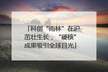 科创“雨林”在沪茁壮生长，“硬核”成果吸引全球目光