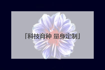 科技育种 量身定制